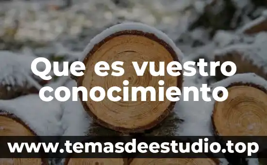 Que es la internacionalización en la difusión de conocimiento científico 8 Que es vuestro conocimiento