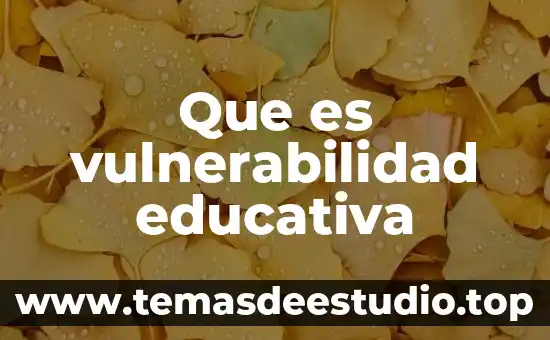 Que es vulnerabilidad educativa