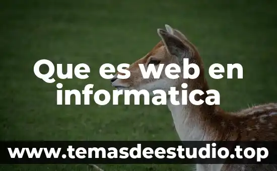 Qué es una torreta en informática 8 Que es web en informatica