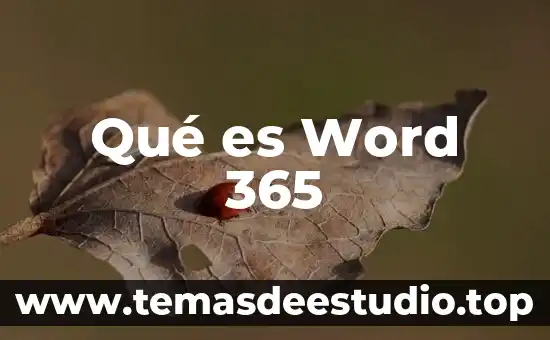 2CO2 que es 6 Qué es Word 365
