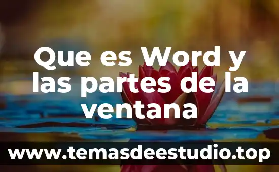 Ventana de Johari para qué es 8 Que es Word y las partes de la ventana