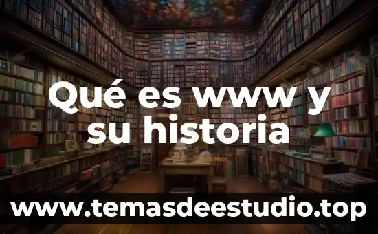 Que es la historia y quien la descubrio 8 Qué es www y su historia