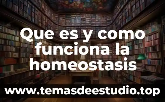 Que es ethereum code y como funciona 5 Que es y como funciona la homeostasis