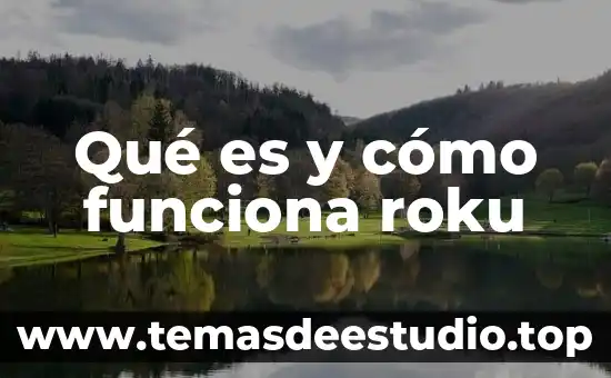 Qué es el sistema Roku 7 Qué es y cómo funciona roku
