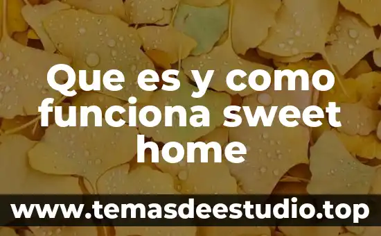 Que es ethereum code y como funciona 3 Que es y como funciona sweet home
