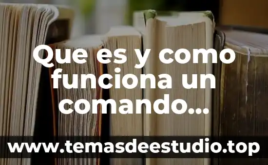 Que es y como funciona un comando segun