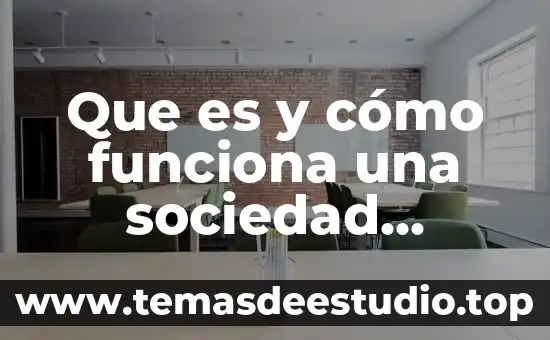 Que es una equivalente social 3 Que es y cómo funciona una sociedad mercantil