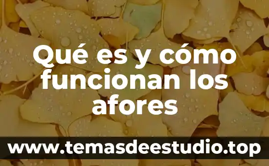 Que es la angustia en un niño 7 Qué es y cómo funcionan los afores