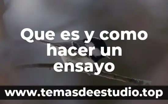 Que es lo que puedes hacer en una fiesta 3 Que es y como hacer un ensayo