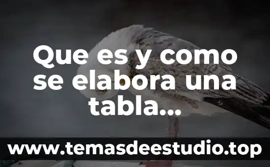 Que es el nombre tabla periodica 5 Que es y como se elabora una tabla gimnástica