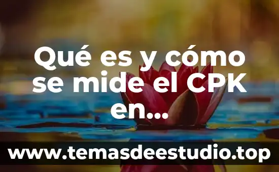 Qué es y cómo se mide el CPK en administración
