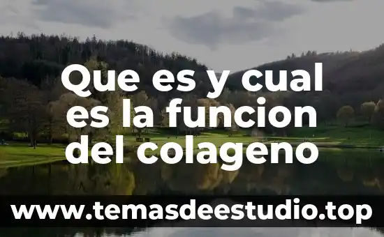 Que es y cual es la funcion del colageno