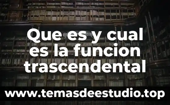 Qué es la estética trascendental en la filosofía 6 Que es y cual es la funcion trascendental