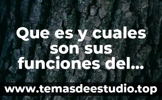 Qué es el movimiento mecánico y cuáles son sus tipos 4 Que es y cuales son sus funciones del ine