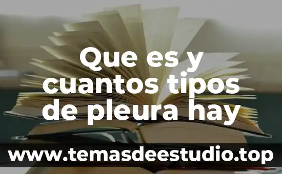 Que es y cuantos tipos de pleura hay