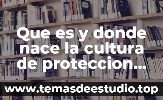 Que es y donde nace la cultura de proteccion civil
