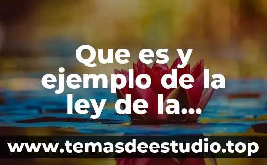 Que es y ejemplo de la ley de la conservacion