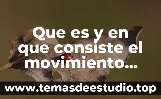 Que es el movimiento parabolico y como esta compuesto 3 Que es y en que consiste el movimiento acredor