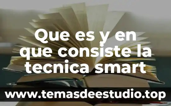 Que es y en que consiste la tecnica smart