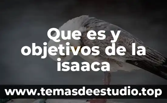Qué es la ubicación de objetivos 5 Que es y objetivos de la isaaca