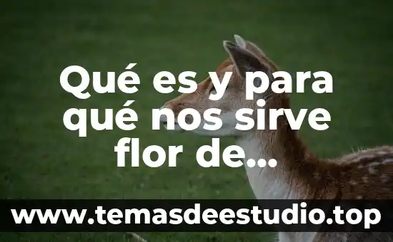 Que es el mensaje natural 8 Qué es y para qué nos sirve flor de calendula