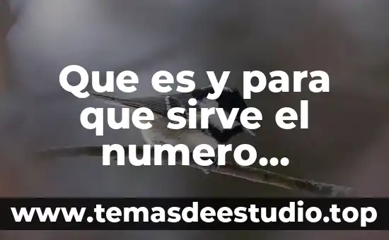 Que es ser humano educacion fisica 5 Que es y para que sirve el numero atomico