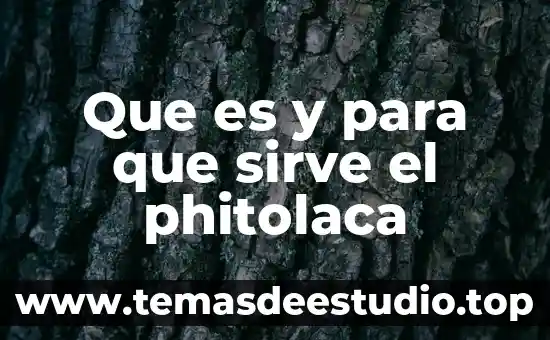 Que es y para que sirve el phitolaca