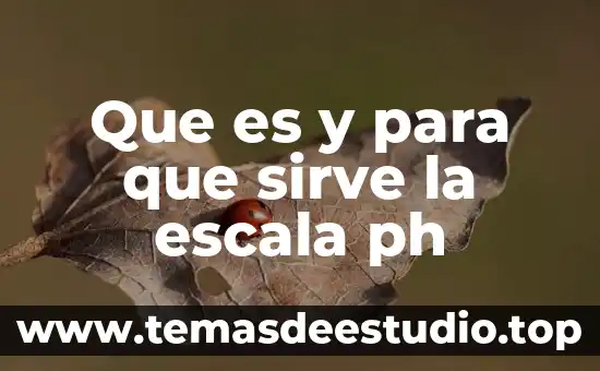 Que es y para que sirve la escala ph