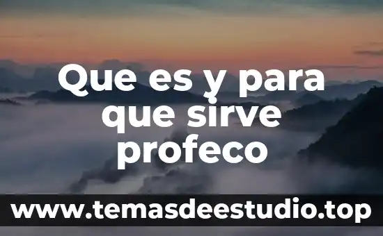 Que es y para que sirve profeco