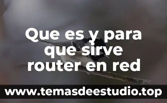 Que es y para que sirve router en red