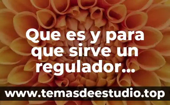 Que es y para que sirve un regulador pasivo