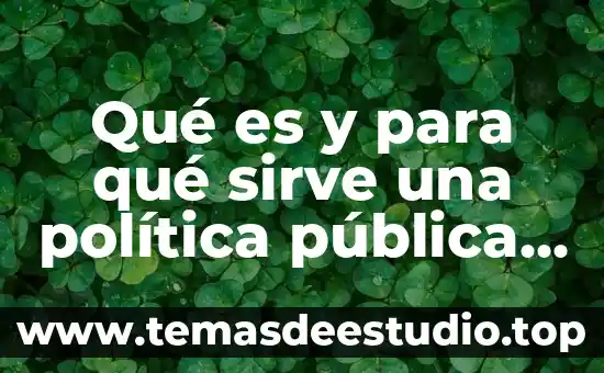Qué es y para qué sirve una política pública autores