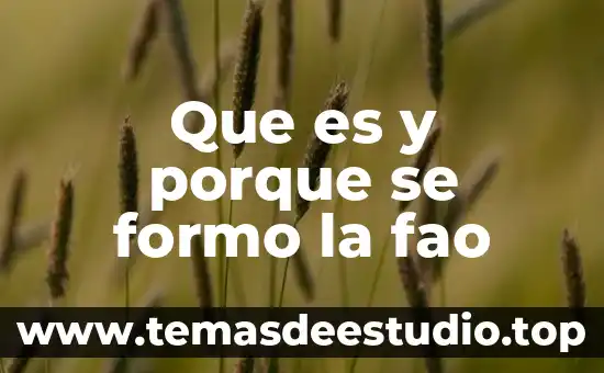 Que es y porque se formo la fao