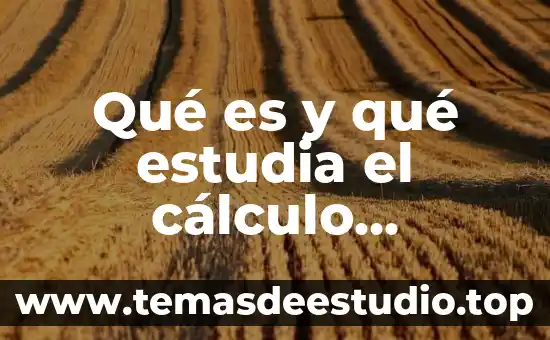 Que es estudia la fonética 7 Qué es y qué estudia el cálculo financiero