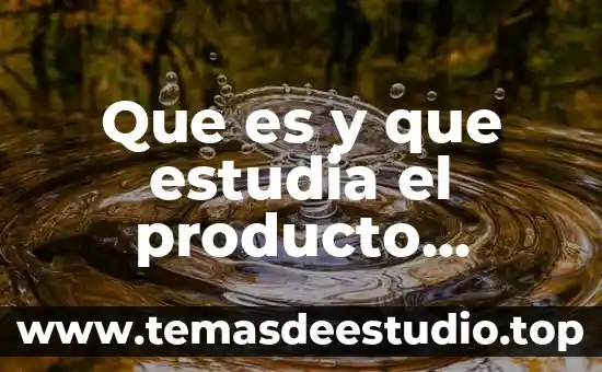 Que es y que estudia el producto sintético