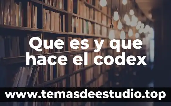 Que es y que hace la corte de justicia 7 Que es y que hace el codex