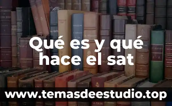 Que es y que hace la corte de justicia 5 Qué es y qué hace el sat