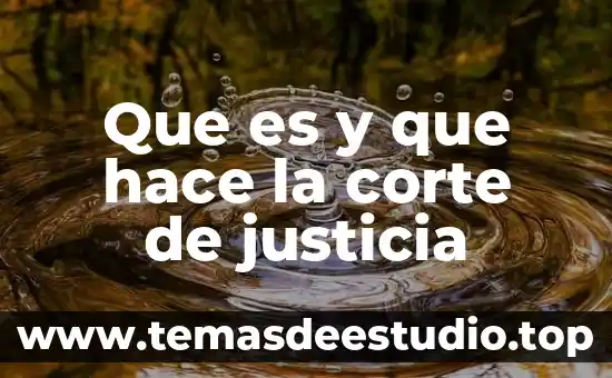 Qué es y qué hace el sat 8 Que es y que hace la corte de justicia