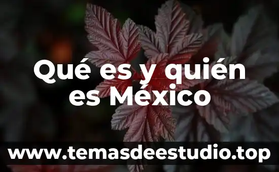 Qué es y quién es México