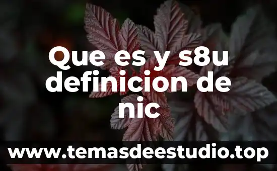 Que es y s8u definicion de nic