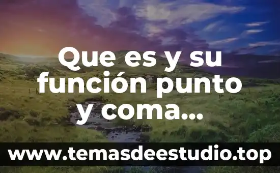 Que es el punto coma 7 Que es y su función punto y coma ejemplos