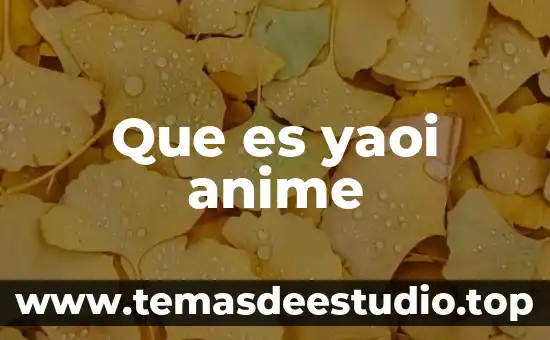 Qué es un ovas en anime 3 Que es yaoi anime