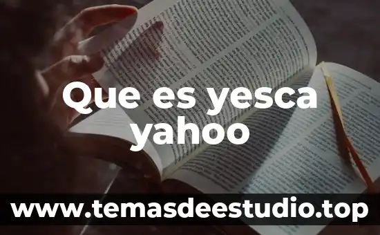 Yahoo que es 4chan 8 Que es yesca yahoo