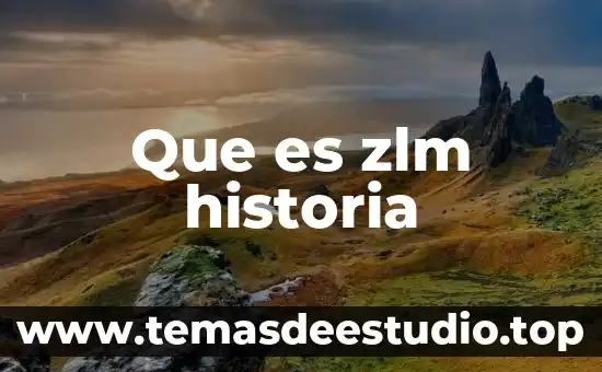 Que es oq historia 3 Que es zlm historia