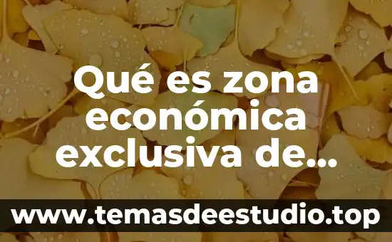 Qué es zona económica exclusiva de México