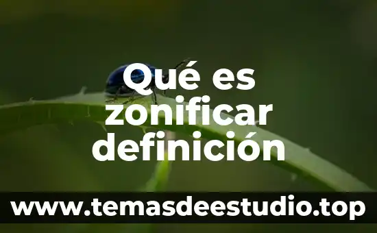 Qué es zonificar definición