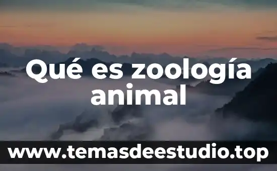 Qué es animal wigu 4 Qué es zoología animal