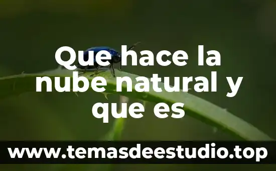 Que es un patrimonio cultutal y natural 5 Que hace la nube natural y que es
