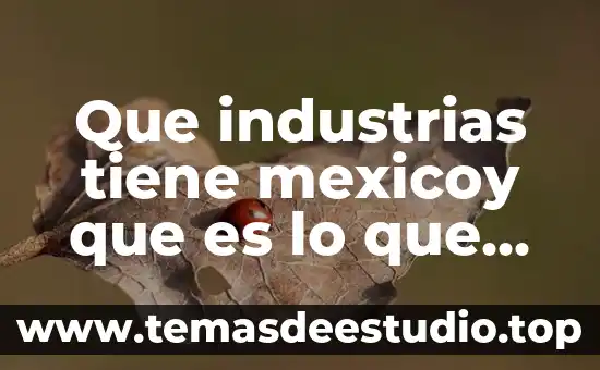 Que industrias tiene mexicoy que es lo que exporta