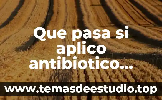 Que pasa si aplico antibiotico ocular antes de la hora que es